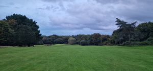 anenduringstruggle/mental health